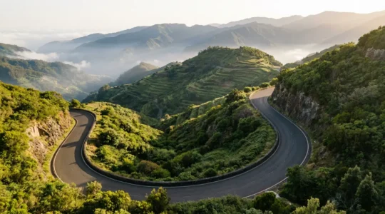 Vue aérienne d'une route sinueuse de montagne à Madère avec virages en épingle à cheveux et végétation luxuriante